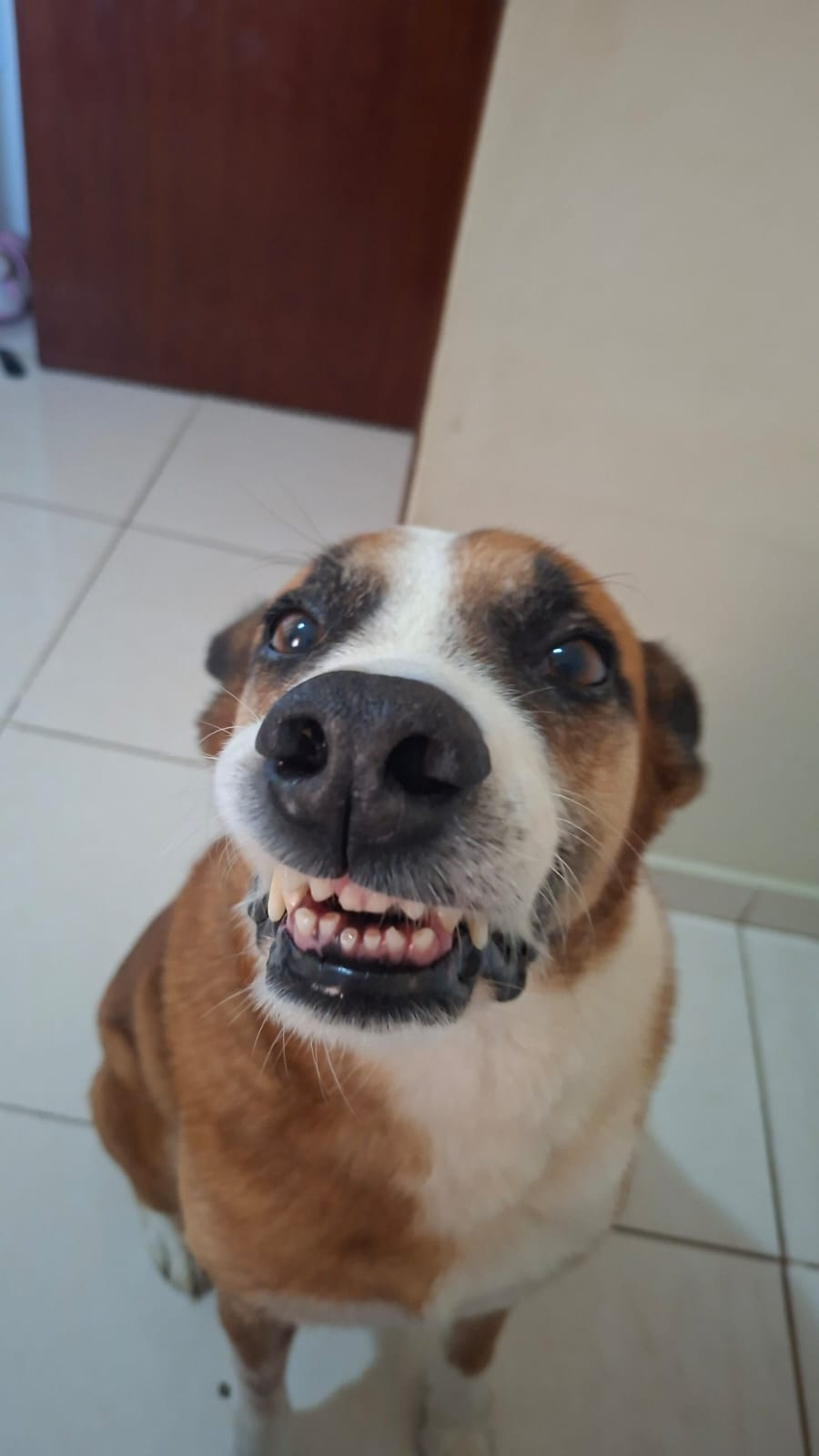 Fred
