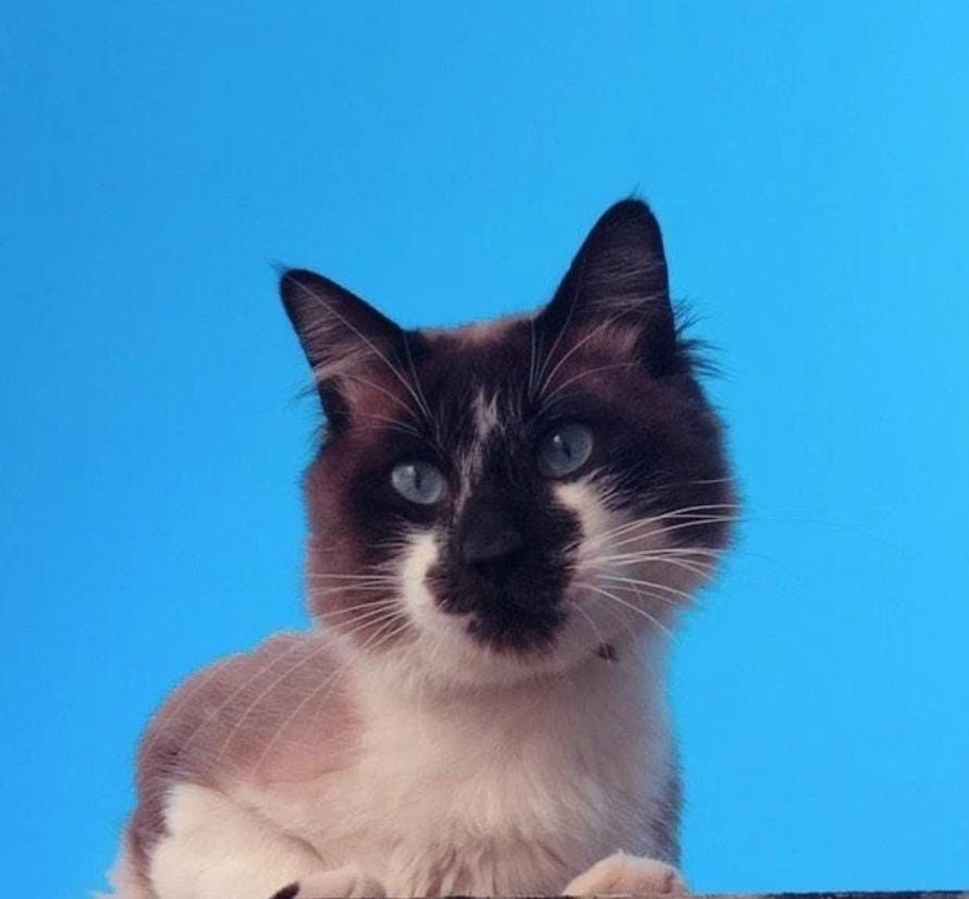 Frederico