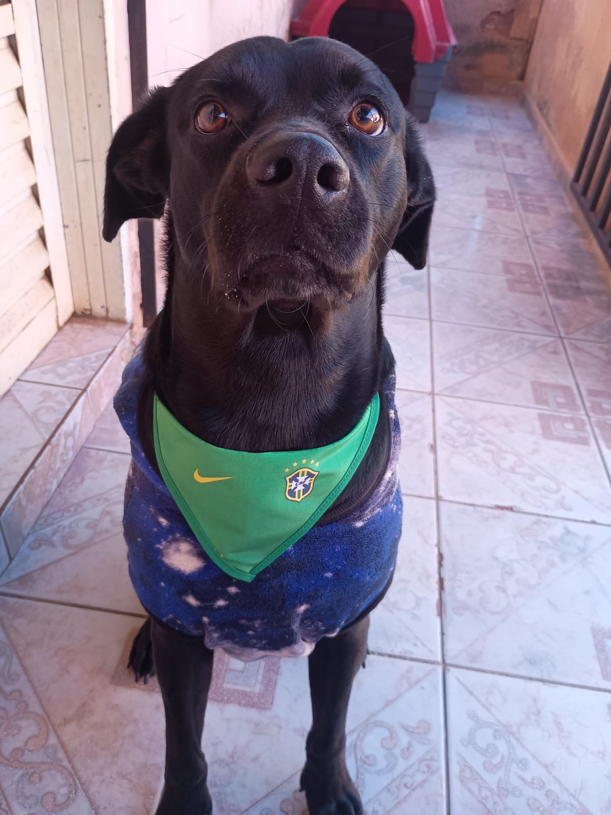 Junior